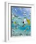 Tropical Fish in Bora-Bora Lagoon-Michele Westmorland-Framed Photographic Print