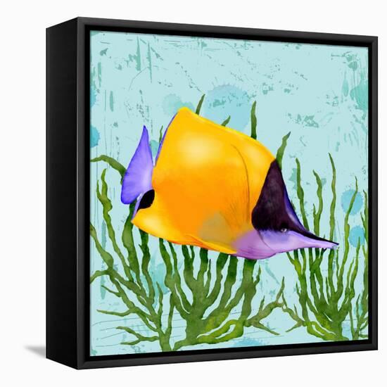 Tropical Fish in Seaweed II-Jade Reynolds-Framed Stretched Canvas