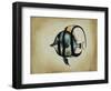 Tropical Fish IV-Sydney Edmunds-Framed Giclee Print