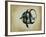 Tropical Fish IV-Sydney Edmunds-Framed Giclee Print