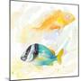 Tropical Fish Square II-Lanie Loreth-Mounted Art Print