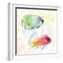 Tropical Fish Square III-Lanie Loreth-Framed Art Print