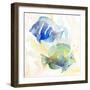 Tropical Fish Square IV-Lanie Loreth-Framed Premium Giclee Print