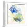 Tropical Fish Square IV-Lanie Loreth-Framed Premium Giclee Print