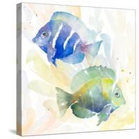 Tropical Fish Square IV-Lanie Loreth-Stretched Canvas