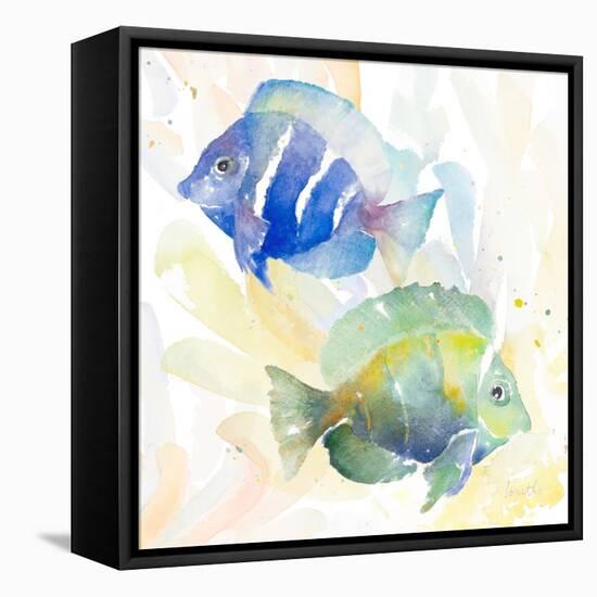 Tropical Fish Square IV-Lanie Loreth-Framed Stretched Canvas