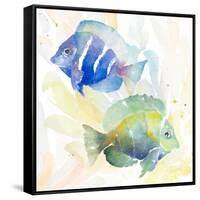 Tropical Fish Square IV-Lanie Loreth-Framed Stretched Canvas