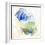 Tropical Fish Square IV-Lanie Loreth-Framed Art Print