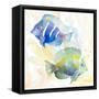 Tropical Fish Square IV-Lanie Loreth-Framed Stretched Canvas