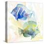 Tropical Fish Square IV-Lanie Loreth-Stretched Canvas