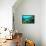 Tropical Fish Swimming over Reef-Stephen Frink-Framed Stretched Canvas displayed on a wall