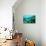 Tropical Fish Swimming over Reef-Stephen Frink-Stretched Canvas displayed on a wall