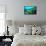 Tropical Fish Swimming over Reef-Stephen Frink-Framed Stretched Canvas displayed on a wall