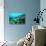 Tropical Fish Swimming over Reef-Stephen Frink-Stretched Canvas displayed on a wall