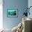 Tropical Fish Swimming over Reef-Stephen Frink-Framed Premium Photographic Print displayed on a wall