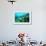 Tropical Fish Swimming over Reef-Stephen Frink-Framed Photographic Print displayed on a wall