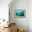 Tropical Fish Swimming over Reef-Stephen Frink-Framed Photographic Print displayed on a wall