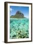 Tropical fish under the waves along the tropical coral reef, Le Morne Brabant, Mauritius-Roberto Moiola-Framed Photographic Print