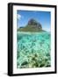 Tropical fish under the waves along the tropical coral reef, Le Morne Brabant, Mauritius-Roberto Moiola-Framed Photographic Print