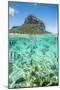 Tropical fish under the waves along the tropical coral reef, Le Morne Brabant, Mauritius-Roberto Moiola-Mounted Photographic Print