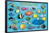 Tropical Fish-null-Framed Poster