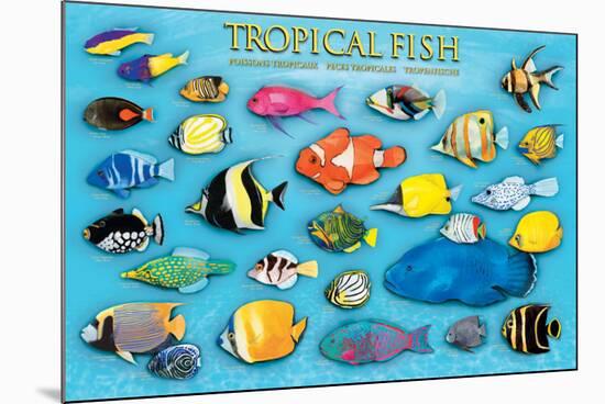 Tropical Fish-null-Mounted Poster