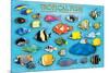 Tropical Fish-null-Mounted Poster