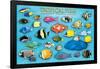 Tropical Fish-null-Framed Poster