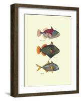 Tropical Fish-Georges Cuvier-Framed Art Print