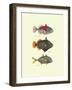 Tropical Fish-Georges Cuvier-Framed Art Print