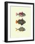 Tropical Fish-Georges Cuvier-Framed Art Print