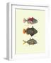 Tropical Fish-Georges Cuvier-Framed Art Print