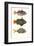 Tropical Fish-Georges Cuvier-Framed Premium Giclee Print