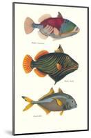 Tropical Fish-Georges Cuvier-Mounted Premium Giclee Print