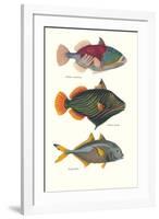 Tropical Fish-Georges Cuvier-Framed Premium Giclee Print