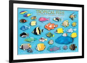 Tropical Fish-null-Framed Premium Giclee Print