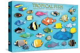 Tropical Fish-null-Stretched Canvas