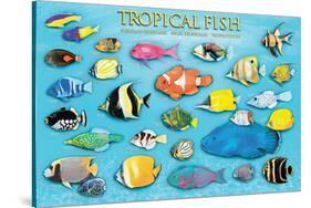 Tropical Fish-null-Stretched Canvas