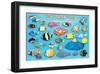 Tropical Fish-null-Framed Art Print