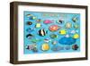 Tropical Fish-null-Framed Art Print