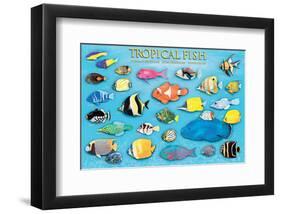 Tropical Fish-null-Framed Art Print