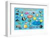 Tropical Fish-null-Framed Art Print