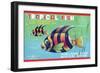 Tropical Fish-null-Framed Art Print