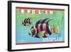 Tropical Fish-null-Framed Art Print