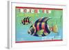 Tropical Fish-null-Framed Art Print