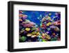 Tropical Fish-goinyk-Framed Photographic Print