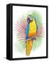 Tropical Flair I-Mary Urban-Framed Stretched Canvas