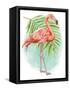 Tropical Flair II-Mary Urban-Framed Stretched Canvas