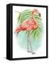 Tropical Flair II-Mary Urban-Framed Stretched Canvas