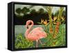 Tropical Flamingo I-Linda Baliko-Framed Stretched Canvas